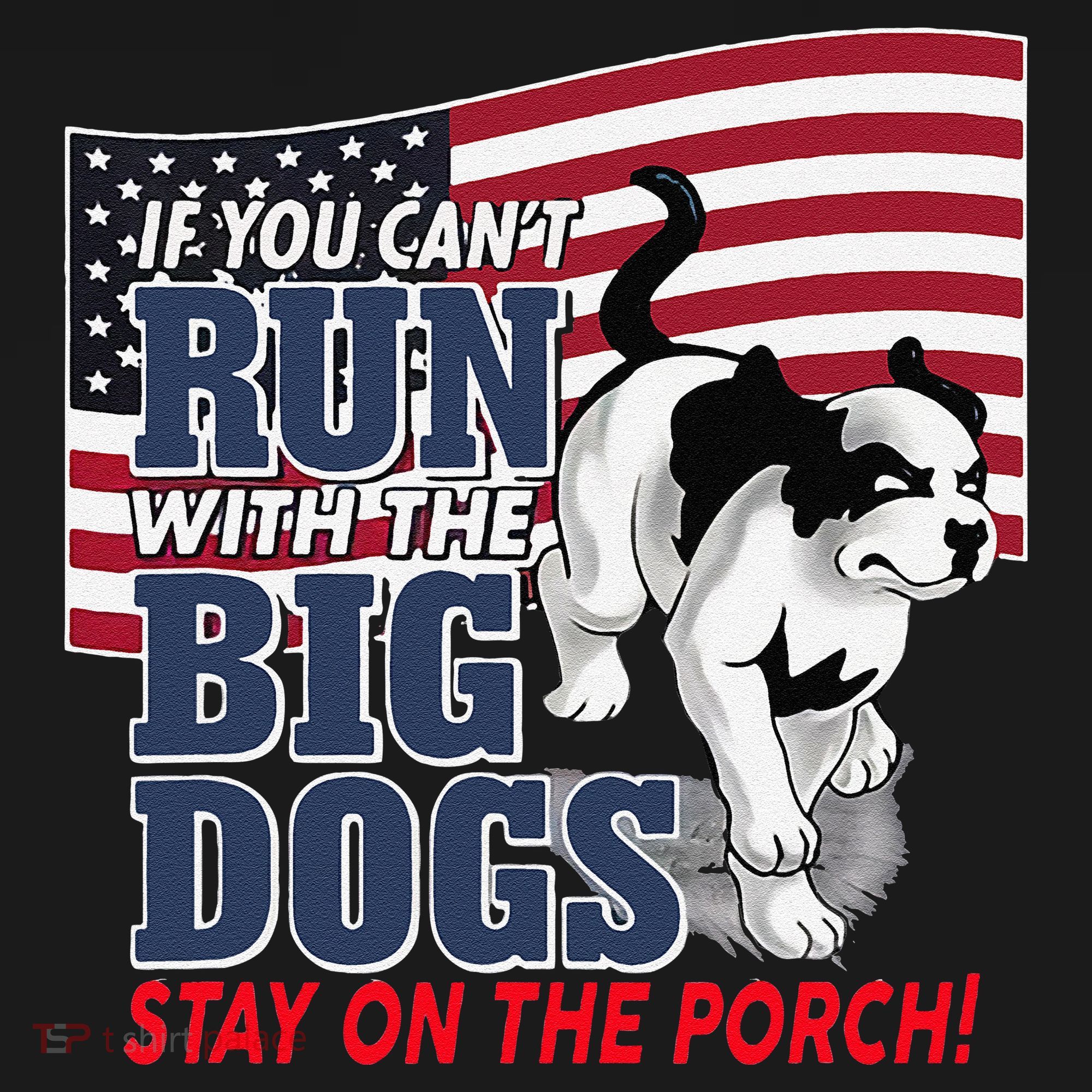 If You Cant Run With Big Dog Stay On Porch Women's Hoodie