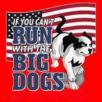 If You Cant Run With Big Dog Stay On Porch Santa Hat thumb 1