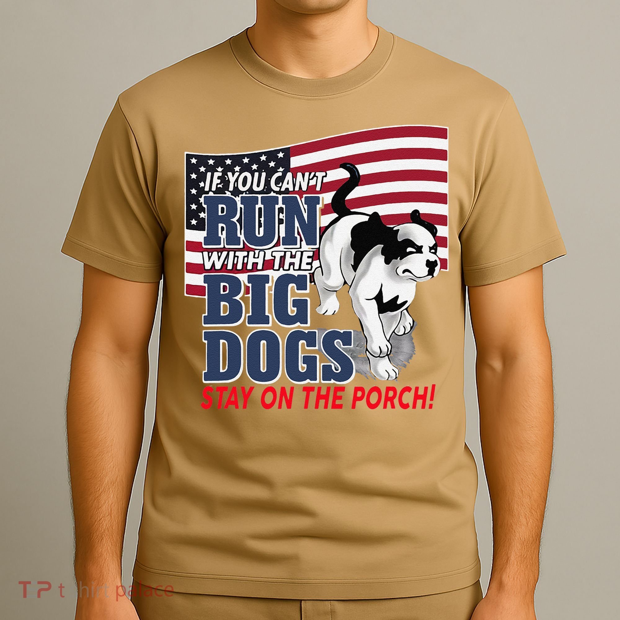 If You Cant Run With Big Dog Stay On Porch T-Shirt