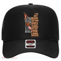If you don't believe they have souls Doberman lover gift Hat thumb 0