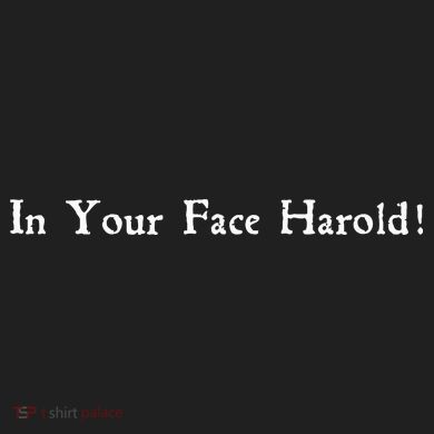 In Your Face Harold! Urban Oversized Heavyweight T-Shirt