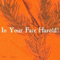 In Your Face Harold! Kati Licensed 12" Camo Cuffed Beanie thumb 2