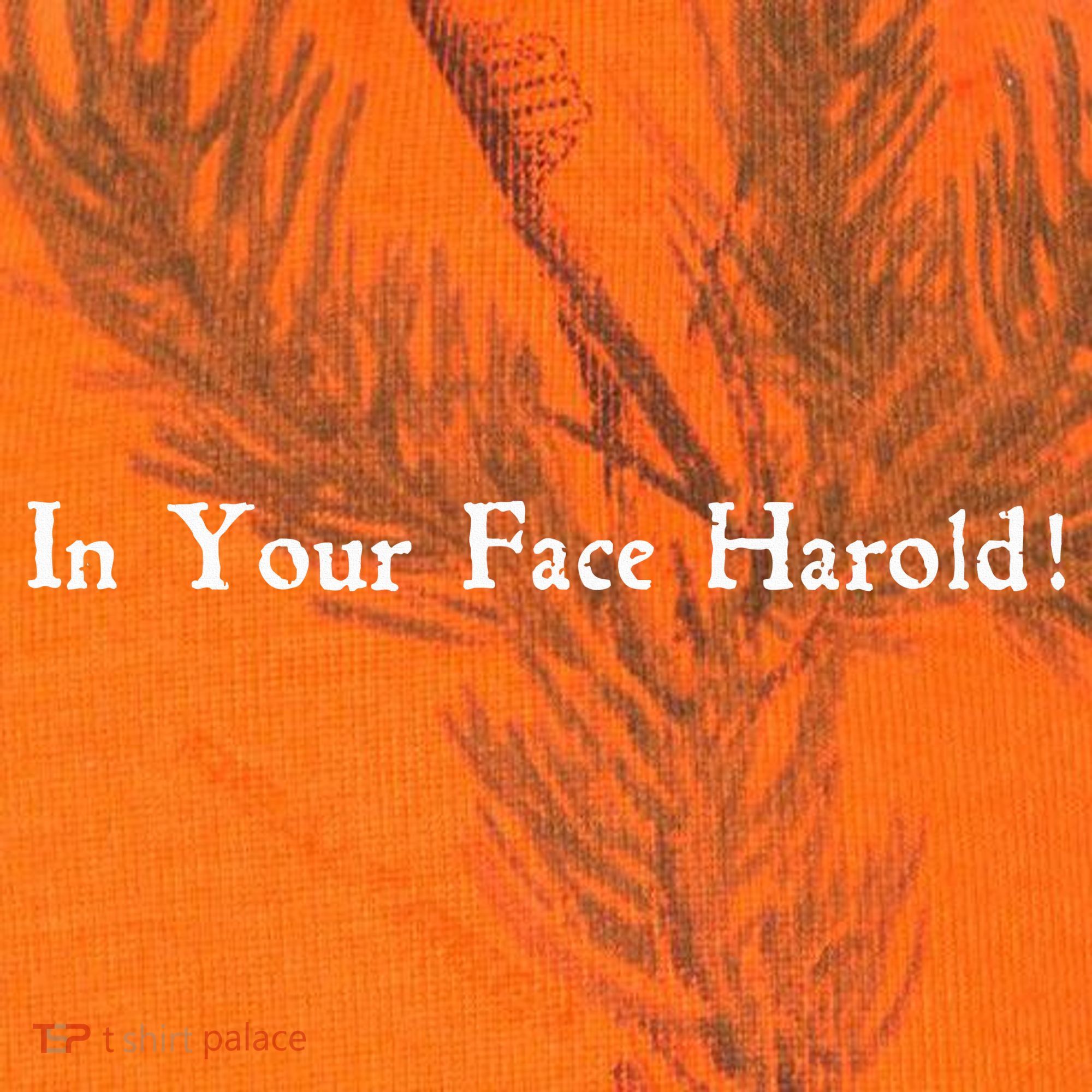 In Your Face Harold! Kati Licensed 12" Camo Cuffed Beanie