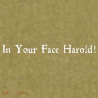 In Your Face Harold! Garment-Dyed Women's Muscle Tee thumb 6