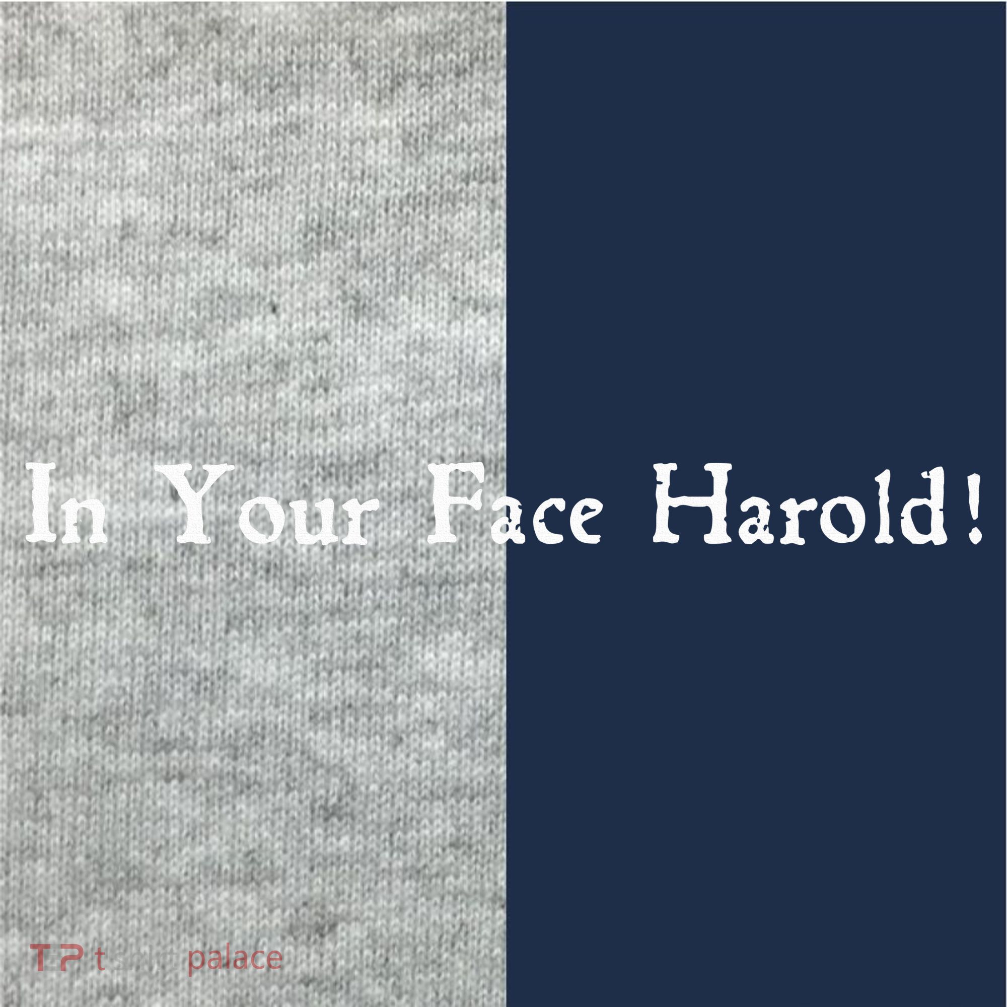 In Your Face Harold! Kids Colorblock Raglan Jersey