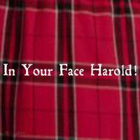In Your Face Harold! Men's Flannel Plaid Pajama Pants thumb 2