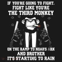 If Youre Going To Fight Fight Like Third Monkey Ornament thumb 1