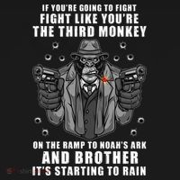 If You're Going To Fight Like You're Third Monkey Women's Hoodie thumb 2