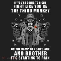 If You're Going To Fight Like You're Third Monkey Hat thumb 2