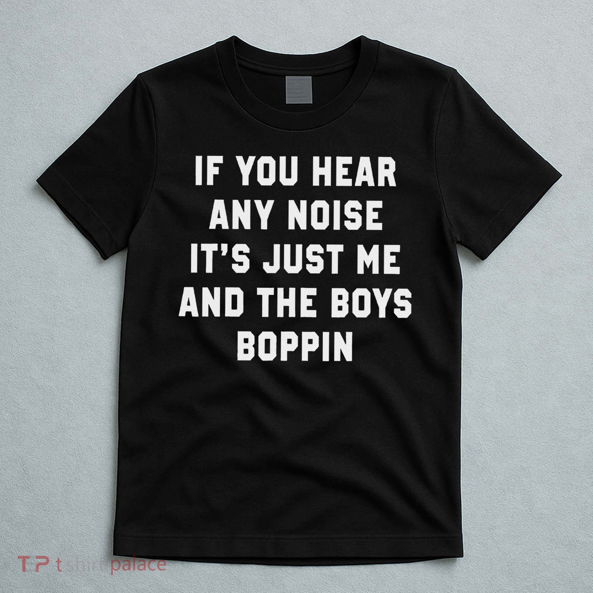 If You Hear Any Noise It's Just Me And The Boys Boppin Funny T-Shirt