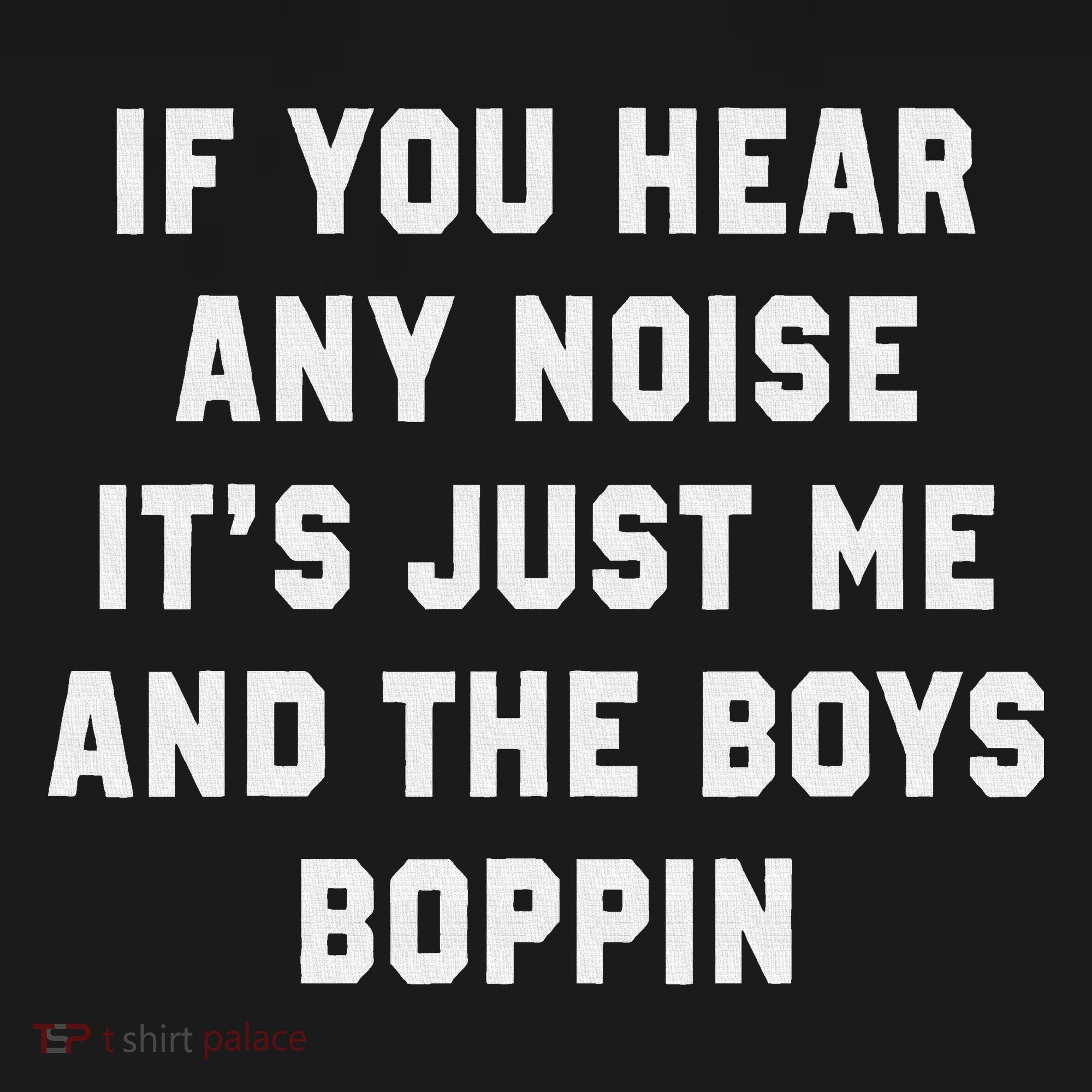 If You Hear Any Noise It's Just Me And The Boys Boppin Funny T-Shirt