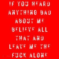If You Heard Anything Bad About Me Santa Hat thumb 1