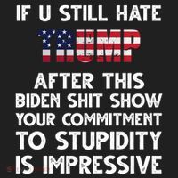 If You Still Hate Trump After This Stupidity Is Impressive Funny Hat thumb 2