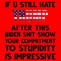 If You Still Hate Trump After This Stupidity Is Impressive Funny Santa Hat thumb 1