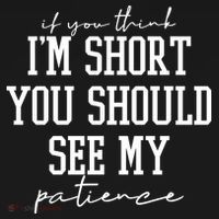 If You Think Im Short You Should See My Patience Toddler Hoodie thumb 2