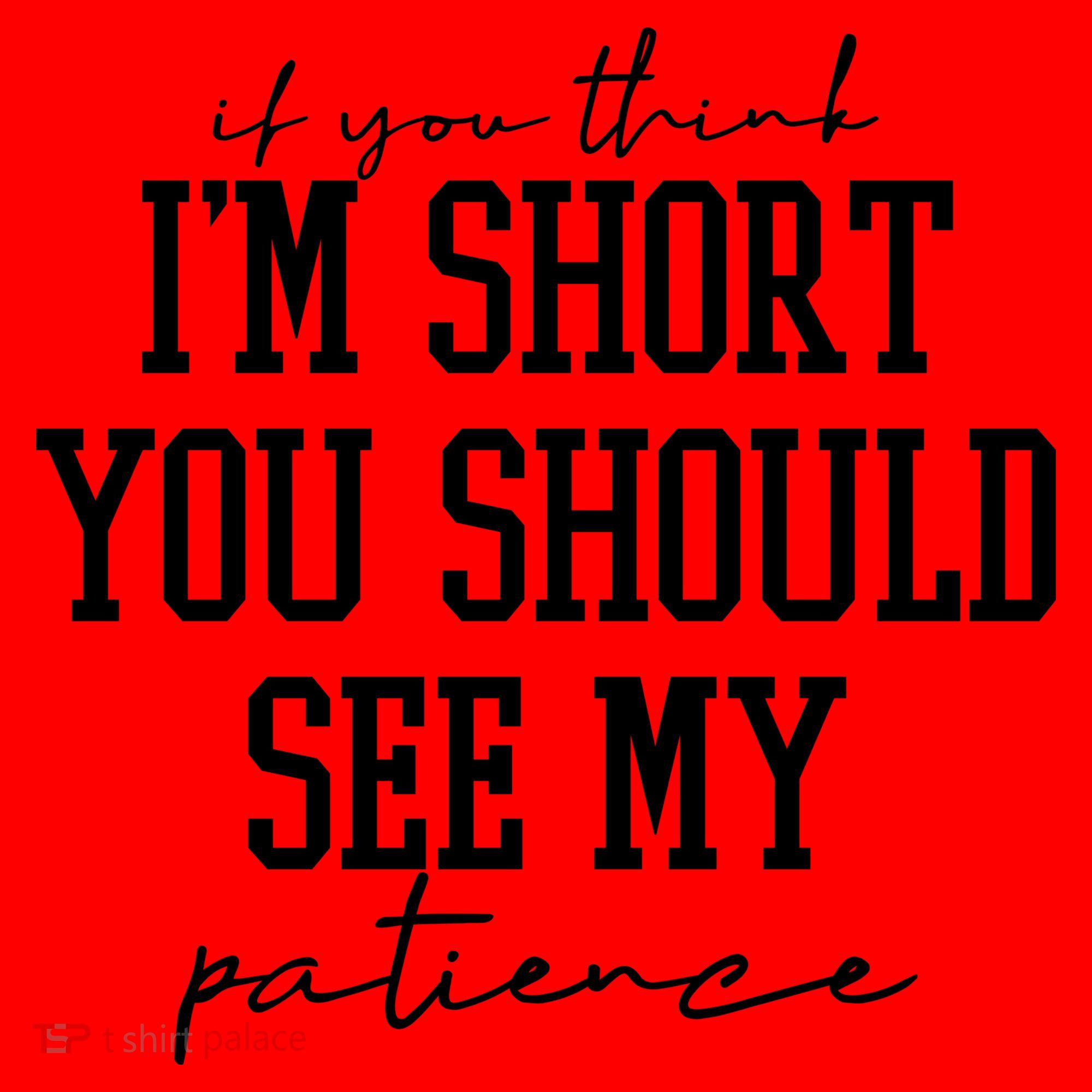 If You Think Im Short You Should See My Patience Santa Hat