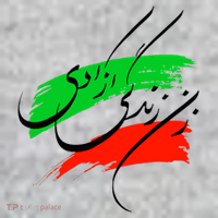 Iran Zan Zendegi Azadi Persian Woman Life Freedom T-Shirt thumb 7