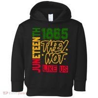Juneteenth 1865 Black History Month They Not Like Us Toddler Hoodie thumb 0