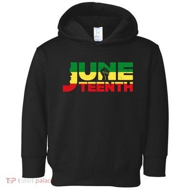 Juneteenth 1865 Freedom Black Pride Toddler Hoodie