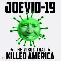 Joevid 19 The Virus That Killed America Funny Joe Biden Ornament thumb 1
