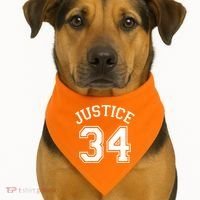 Justice 34 Counts Conviction Trump USA-Made Doggie Bandana thumb 1