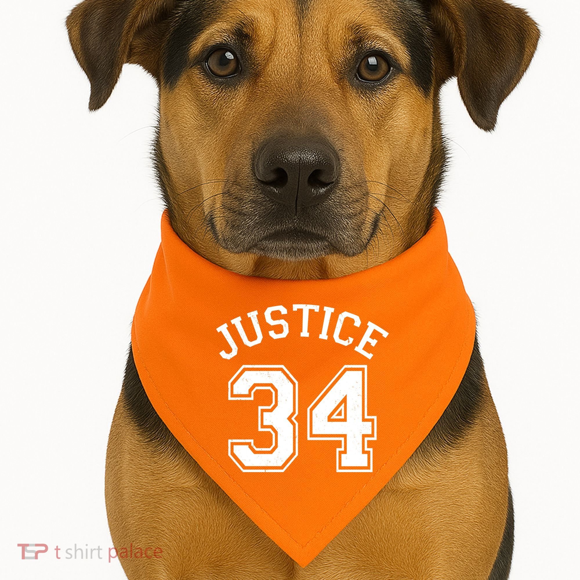 Justice 34 Counts Conviction Trump USA-Made Doggie Bandana