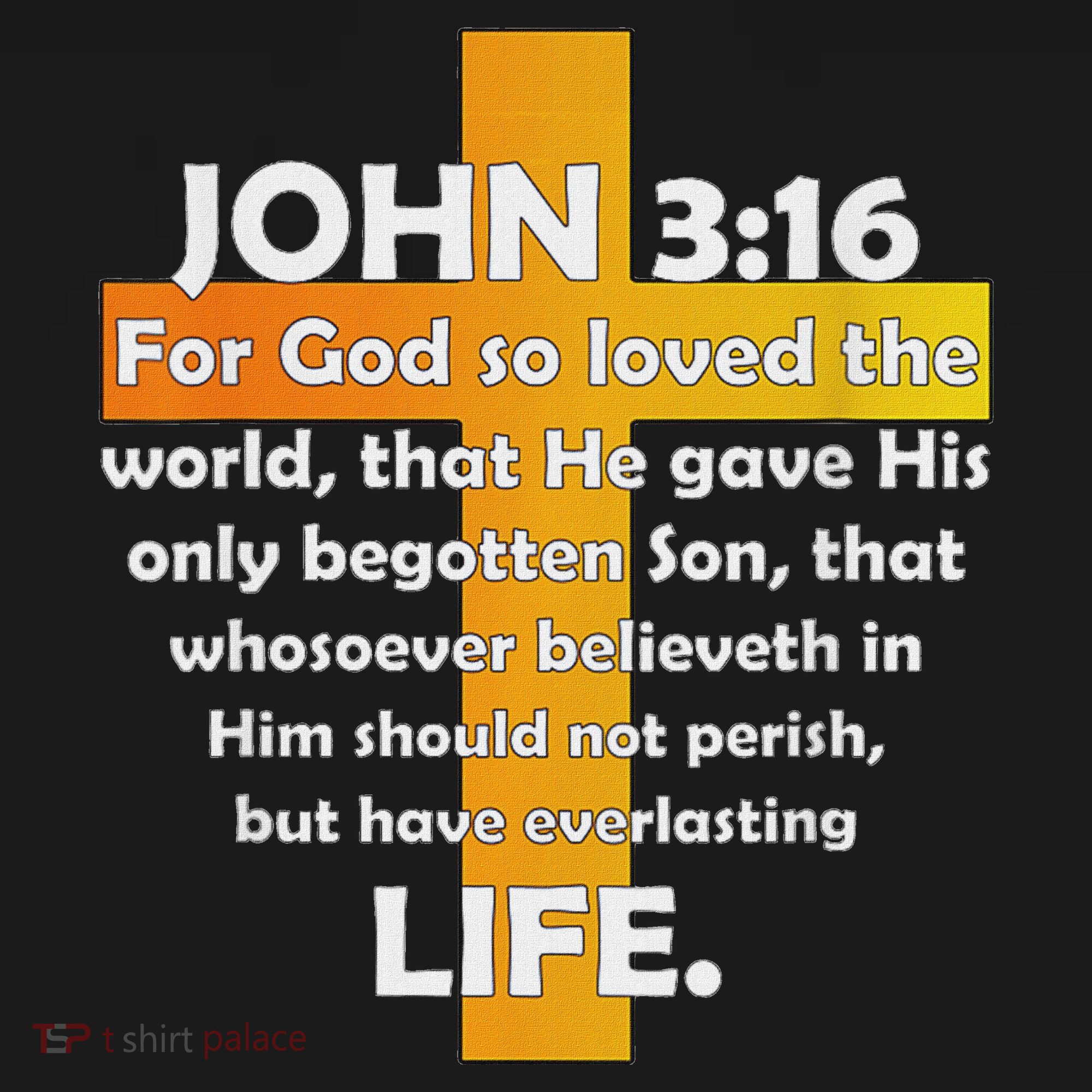 John 316 Kjv Bible Verse Visor