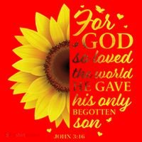 John 316 Sunflower Christian Verses Sayings Religious Her Sweat Santa Hat thumb 1