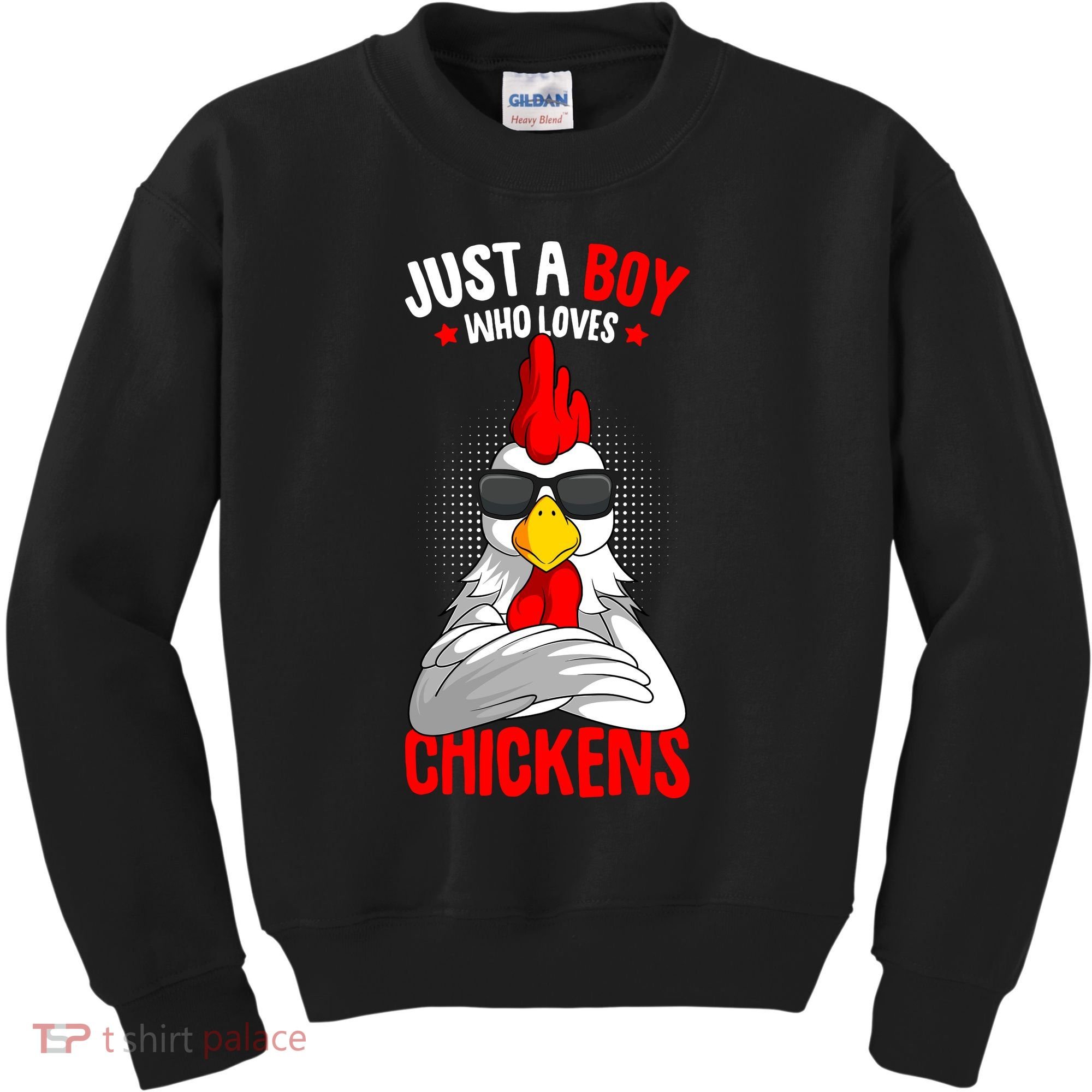 Just A Boy Who Loves Chickens Kids Sweatshirt