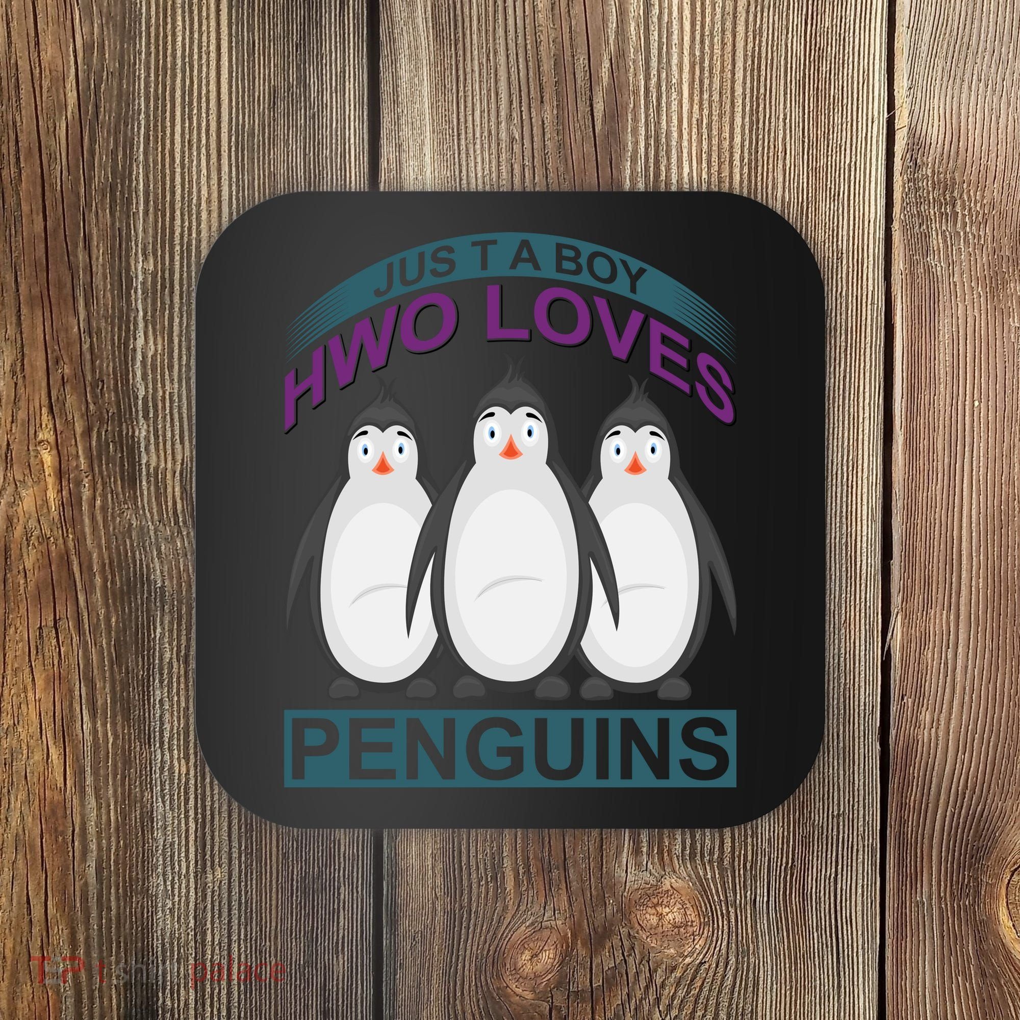 Just A Boy Who Loves Penguins Coaster