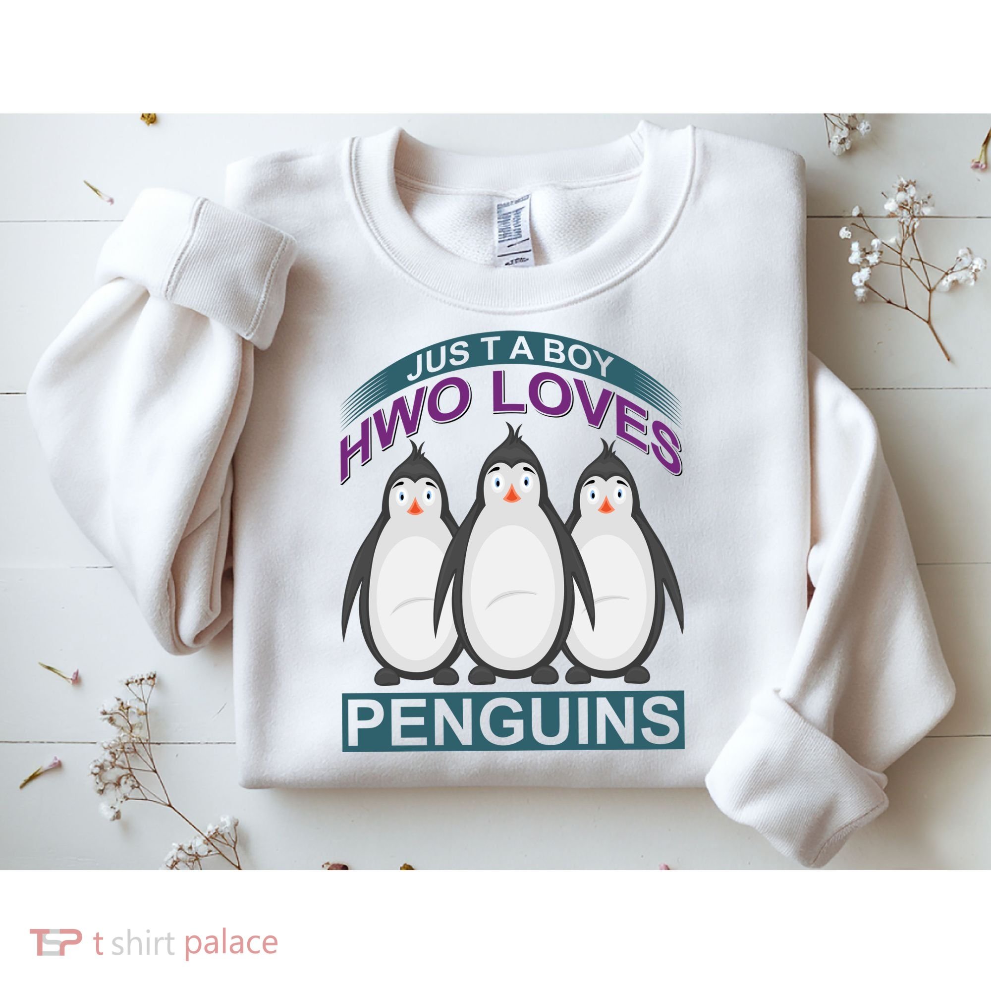 Just A Boy Who Loves Penguins Sweatshirt