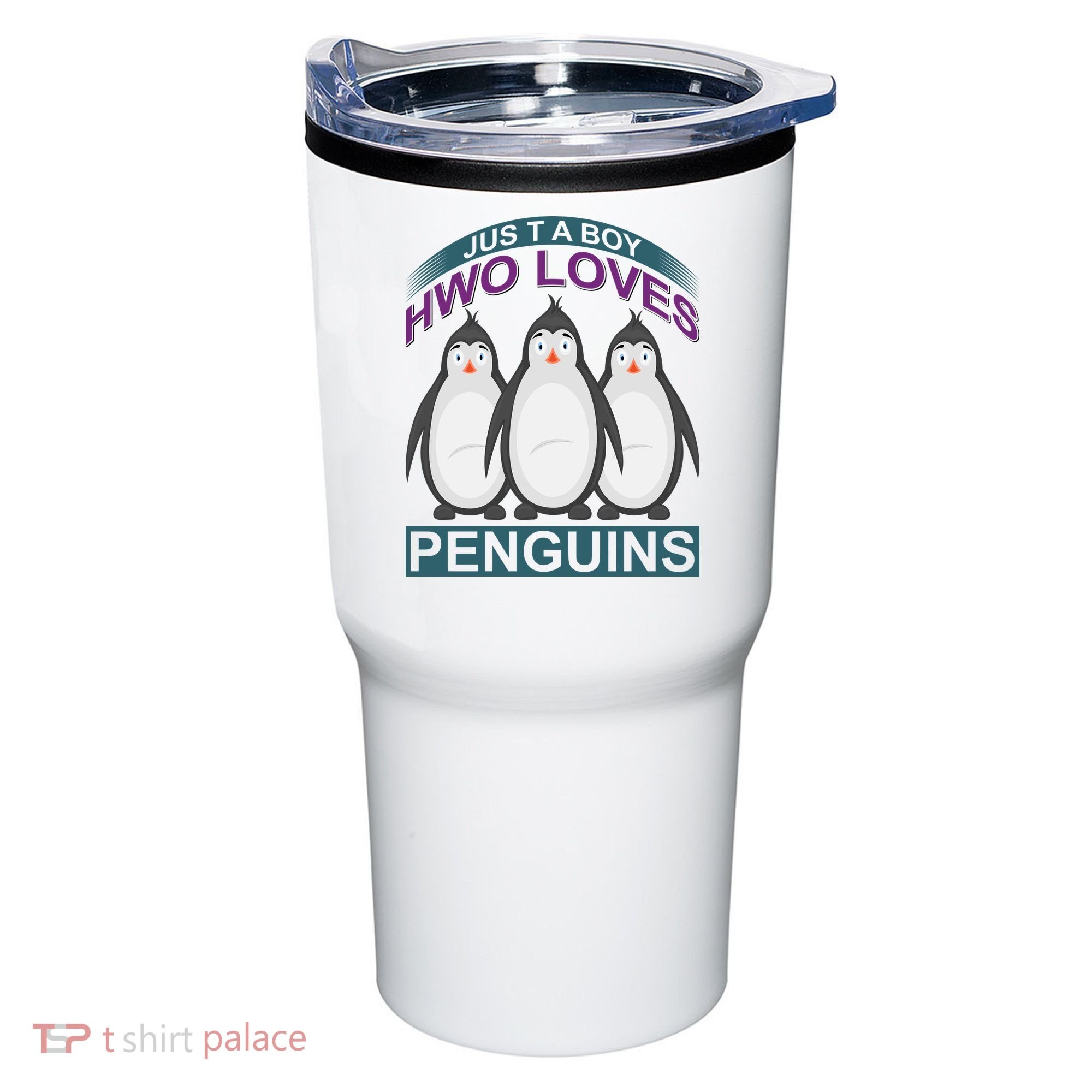 Just A Boy Who Loves Penguins Tumbler