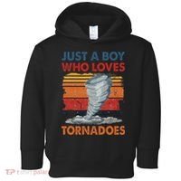 Just A Boy Who Loves Tornado Weather Storm Tornado Chaser Toddler Hoodie thumb 0