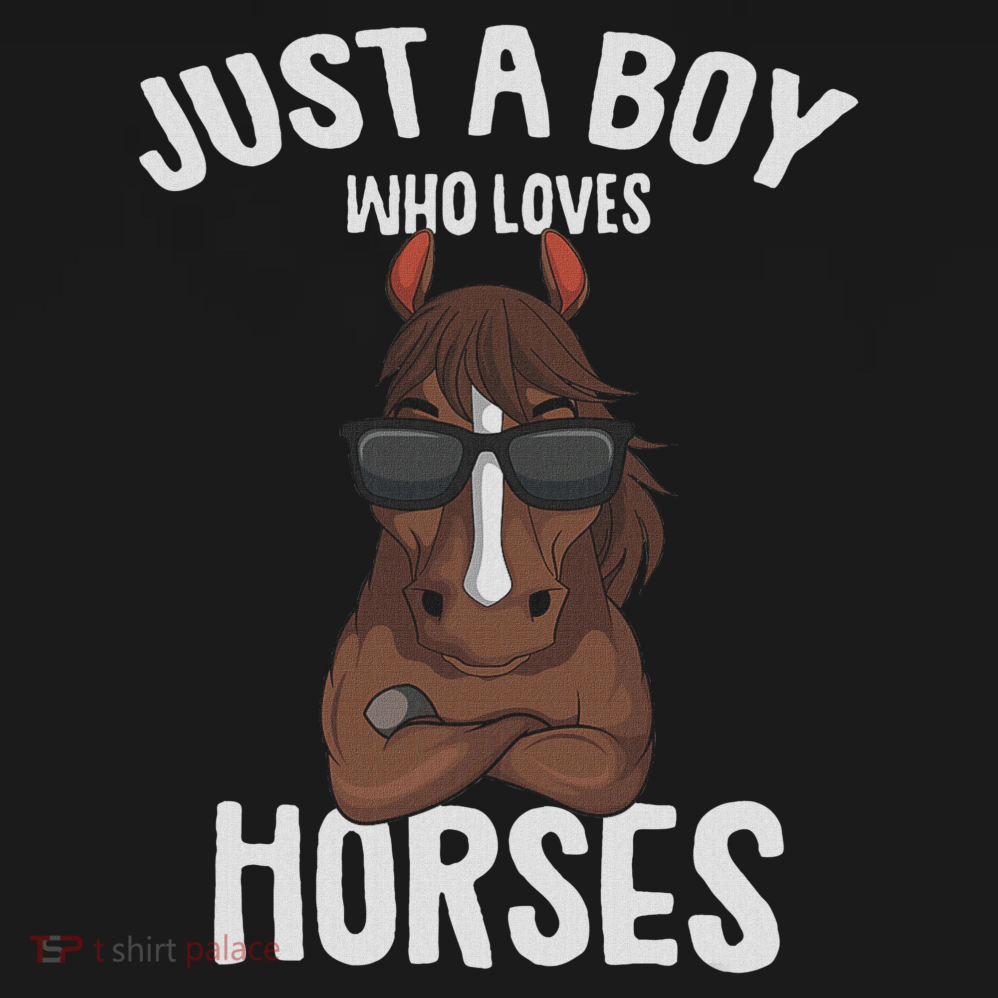 Just A Boy Who Loves Horses Equestrian Horseback Riding T-Shirt