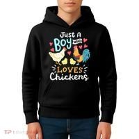 Just A Boy Who Loves Chickens Farm Chicken Kids Hoodie thumb 4