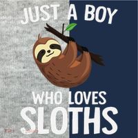 Just A Boy Who Loves Sloths Sloth Lover Kids Colorblock Raglan Jersey thumb 2