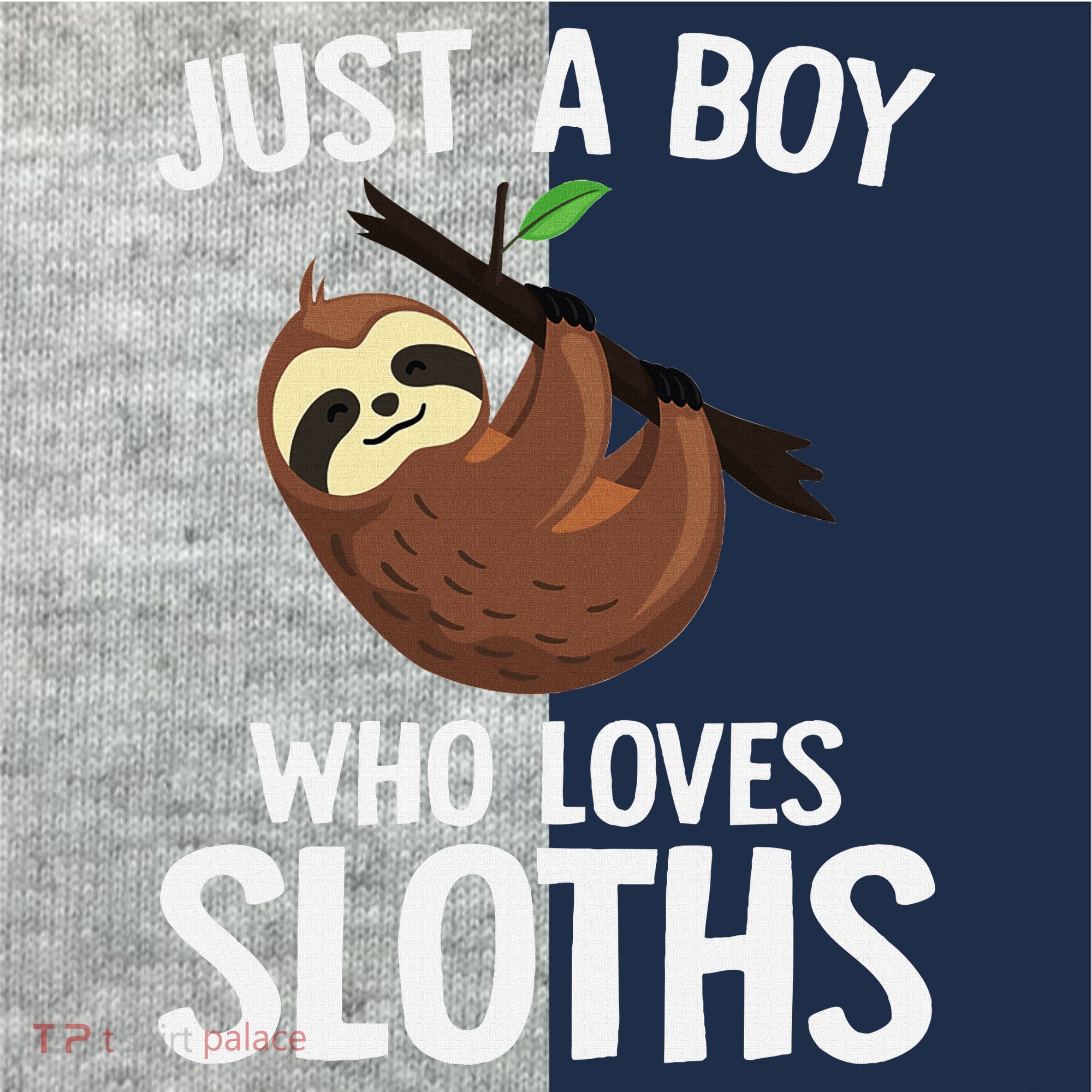 Just A Boy Who Loves Sloths Sloth Lover Kids Colorblock Raglan Jersey