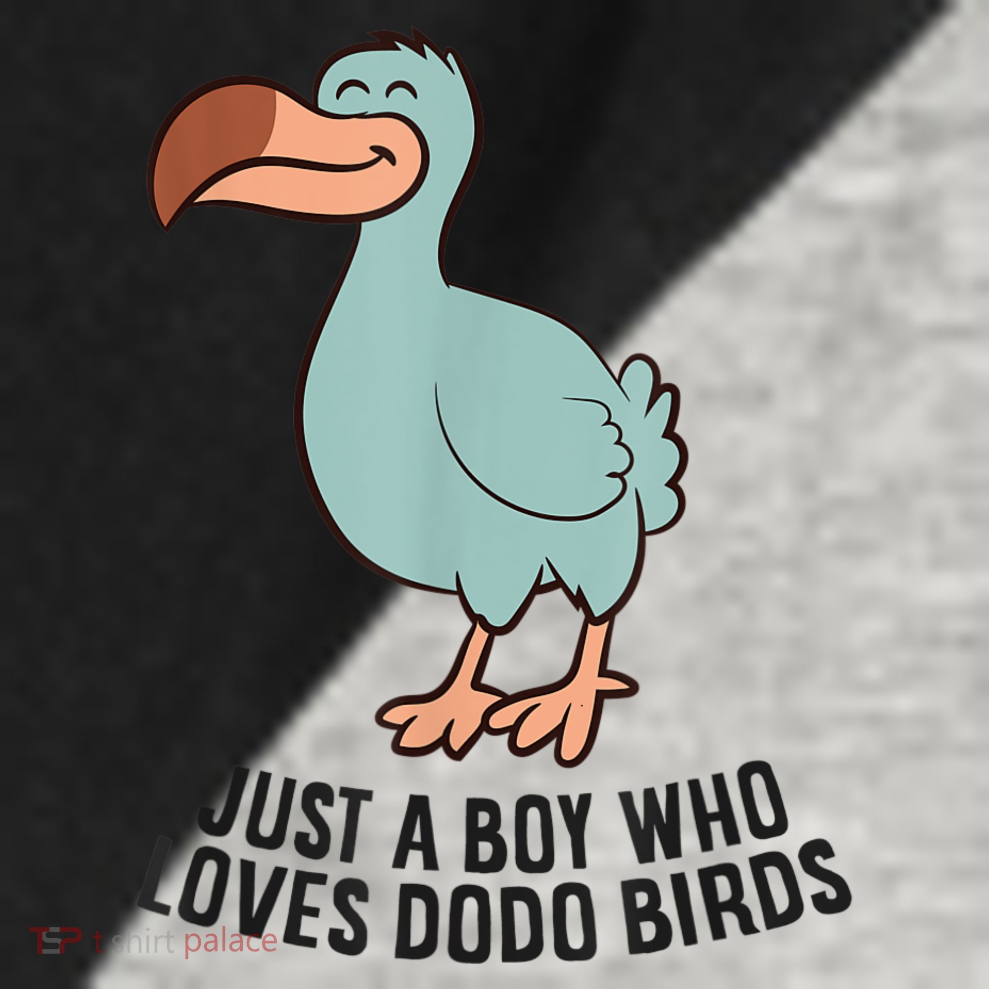 Just A Boy Who Loves Dodo Birds Raglan Baseball Sleeve Shirt