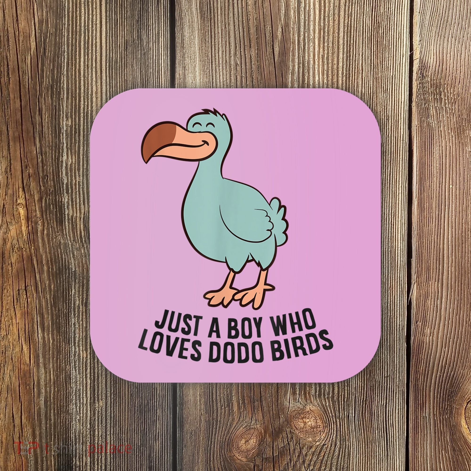 Just A Boy Who Loves Dodo Birds Coaster