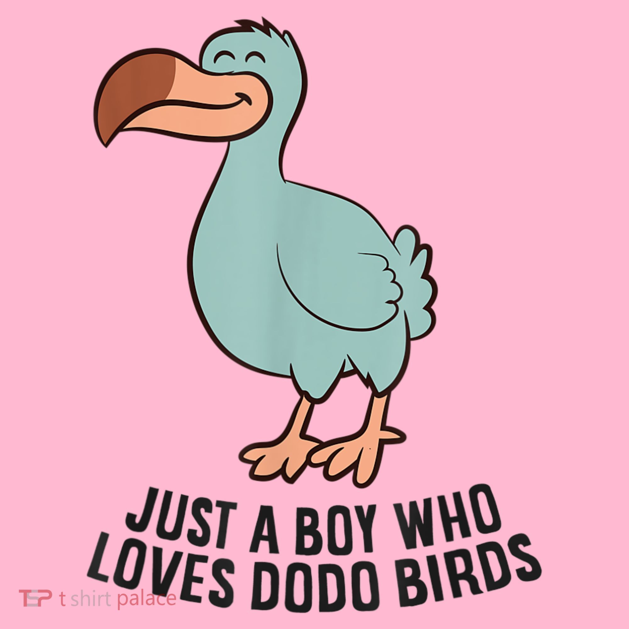 Just A Boy Who Loves Dodo Birds Coaster