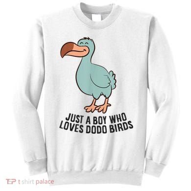 Just A Boy Who Loves Dodo Birds Sweatshirt