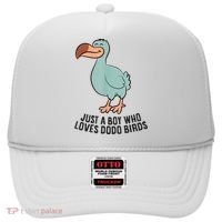Just A Boy Who Loves Dodo Birds Hat thumb 0