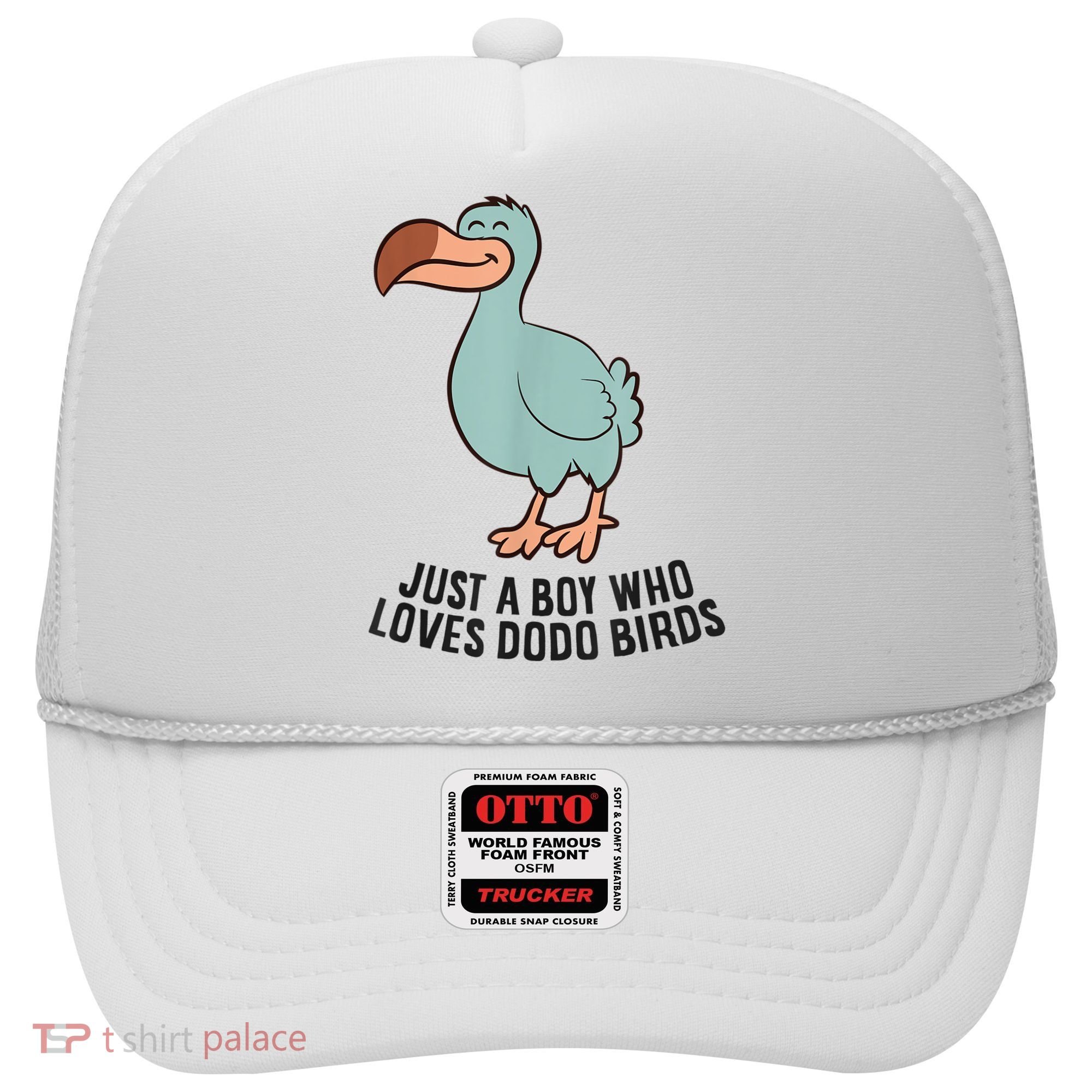 Just A Boy Who Loves Dodo Birds Hat