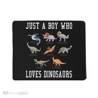 Just A Boy Who Loves Dinosaurs Gifts For Paleontologist Mousepad thumb 0