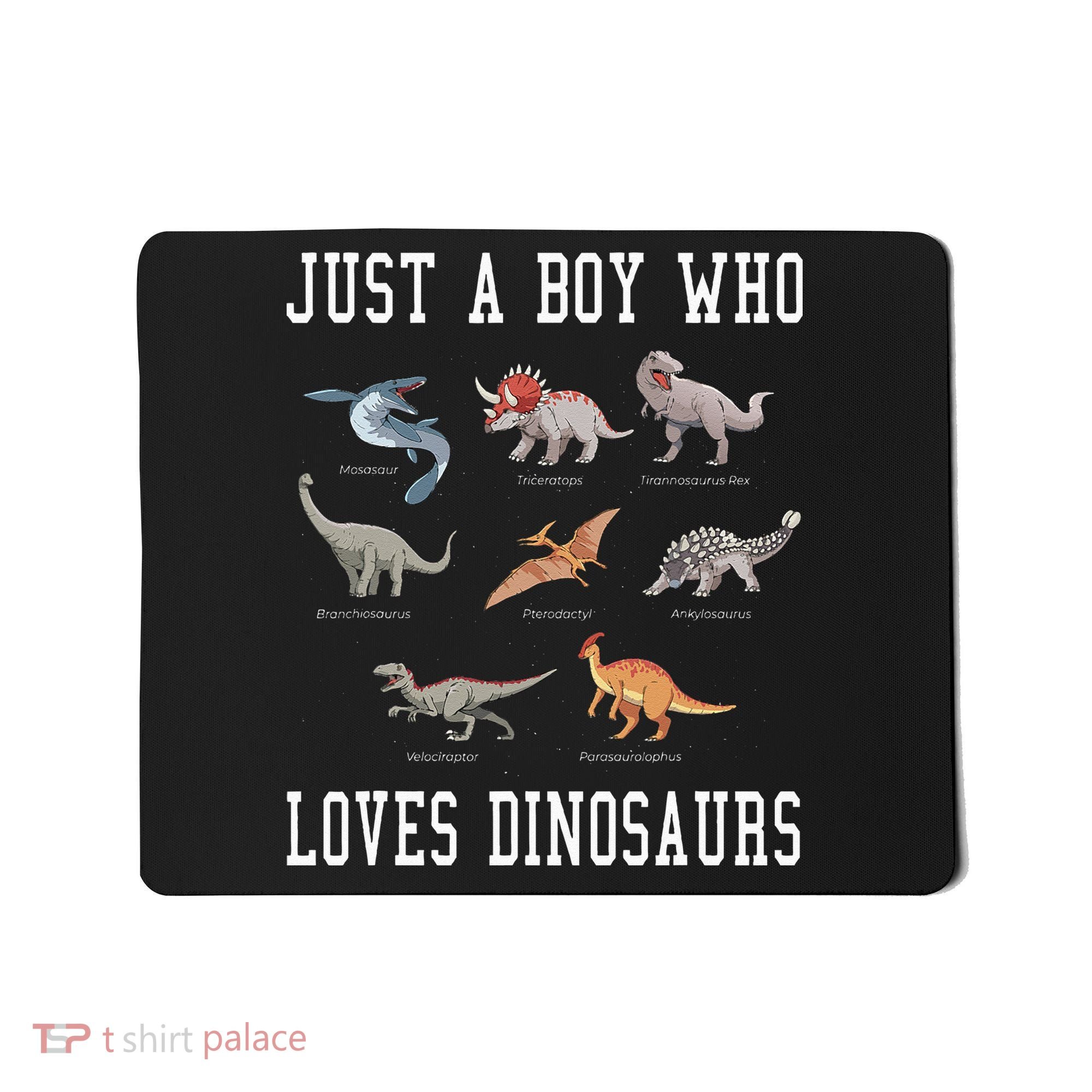 Just A Boy Who Loves Dinosaurs Gifts For Paleontologist Mousepad