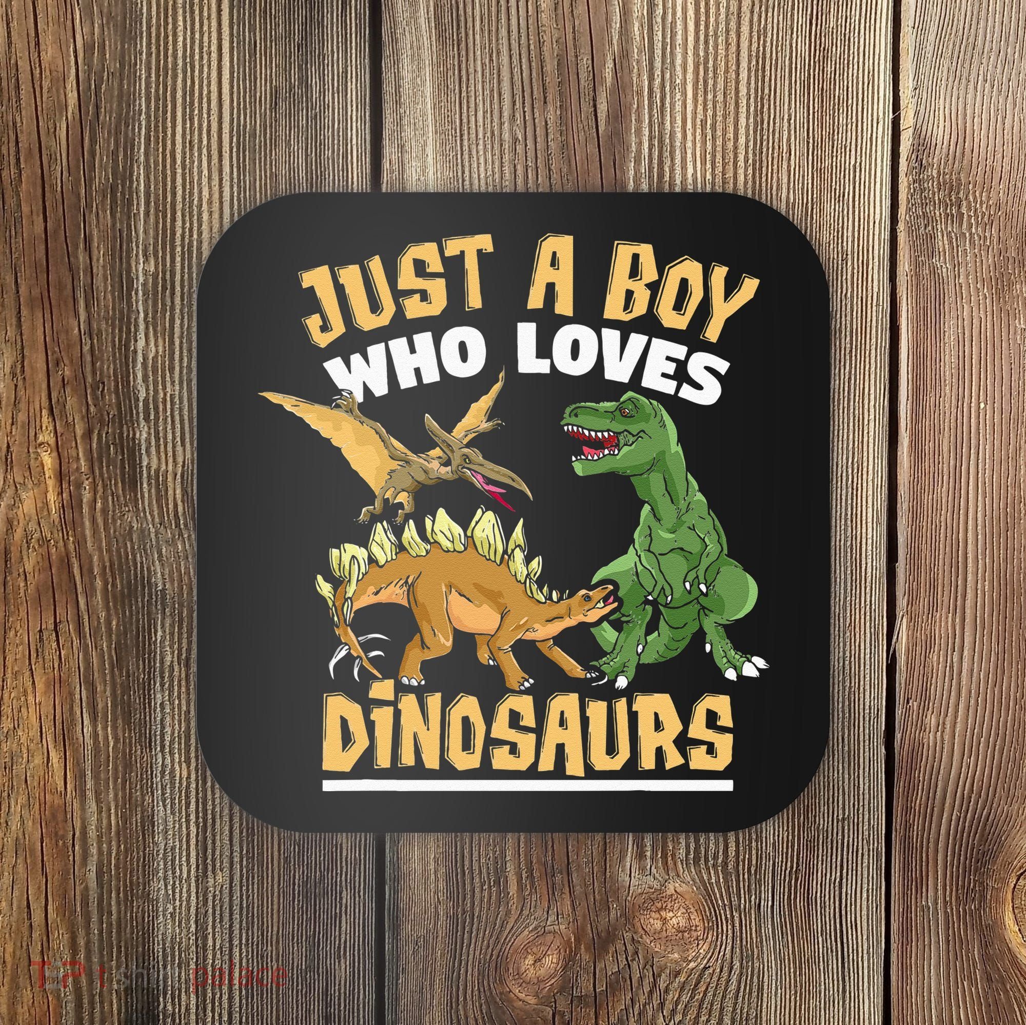 Just A Boy Who Loves Dinosaurs Schoolboys And Paleontologist Coaster