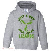 Just A Boy Who Loves Lizards Reptile Lizard Lovers Gift Toddler Hoodie thumb 0