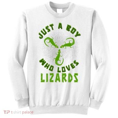 Just A Boy Who Loves Lizards Reptile Lizard Lovers Gift Sweatshirt