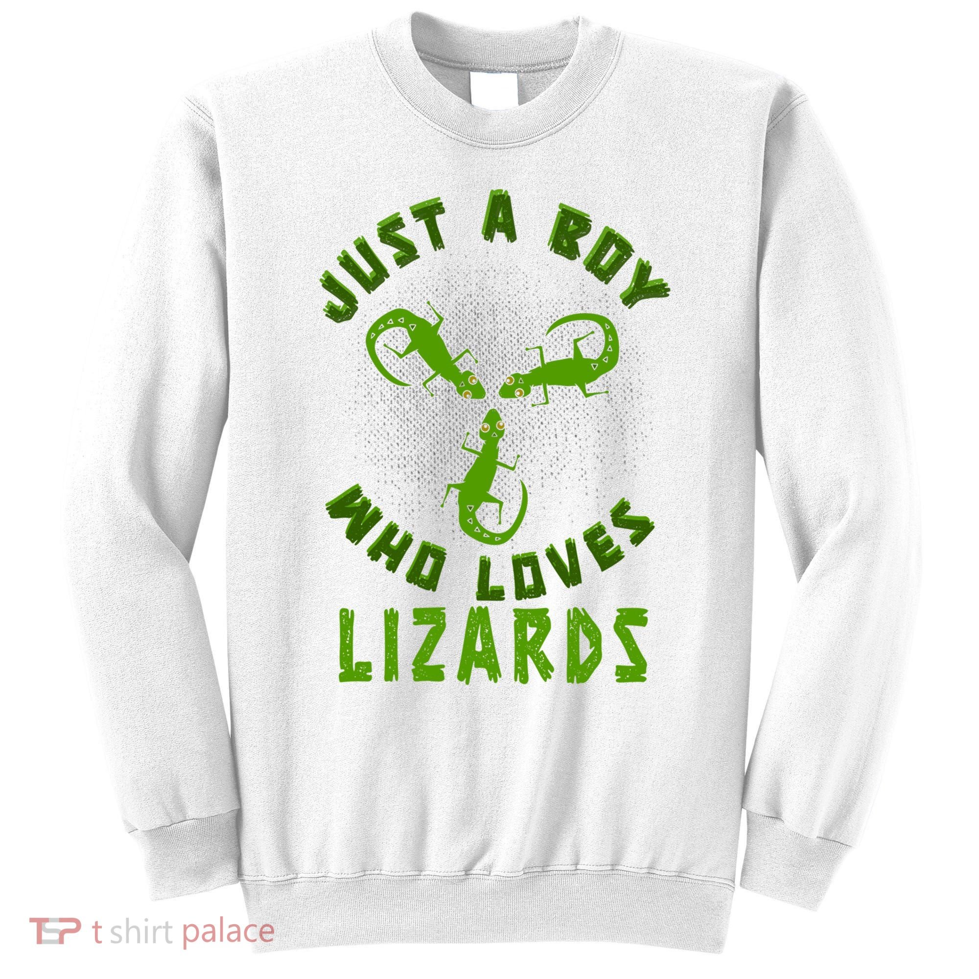 Just A Boy Who Loves Lizards Reptile Lizard Lovers Gift Sweatshirt