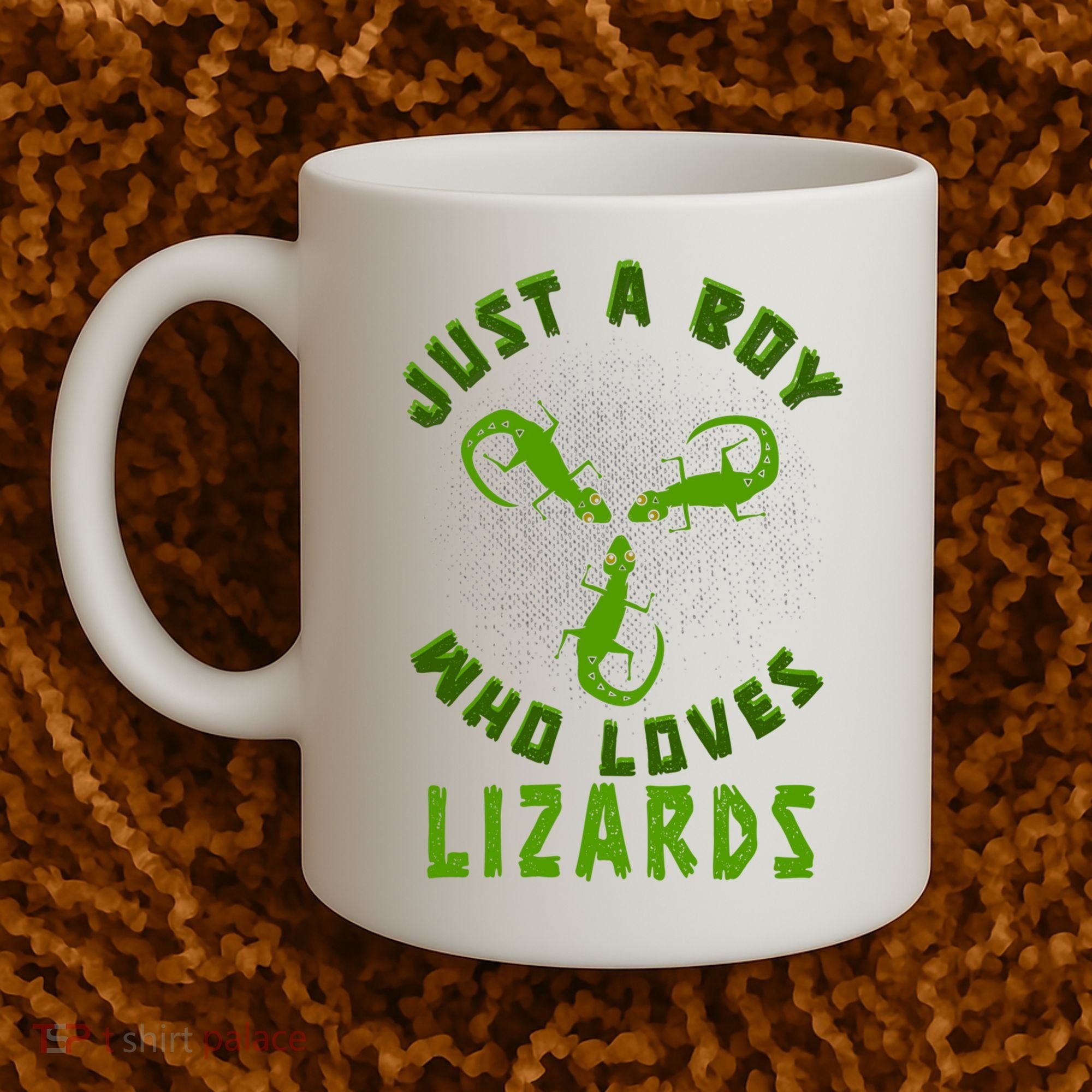 Just A Boy Who Loves Lizards Reptile Lizard Lovers Gift Coffee Mug